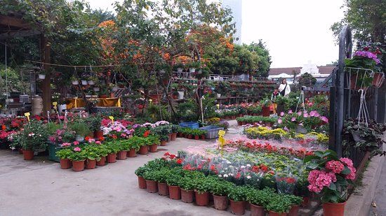 Shenzhen Flower Trade Market